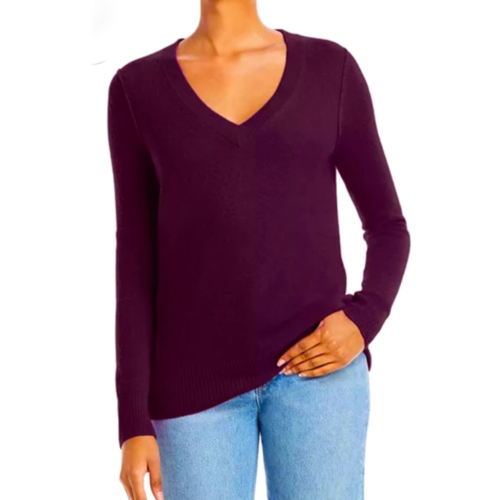 Aqua Cashmere V-neck Sweater in Cabernet (Wine color)